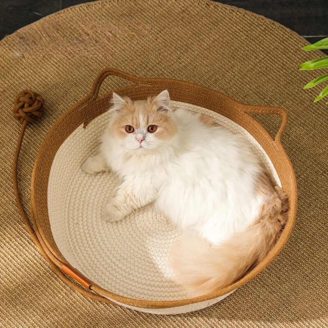 Katzenbett Komfortabel & Stilvoll – Gemütlicher Rückzugsort Für Katzen, Weich Und Langlebig, Ideal Für Entspannung 3