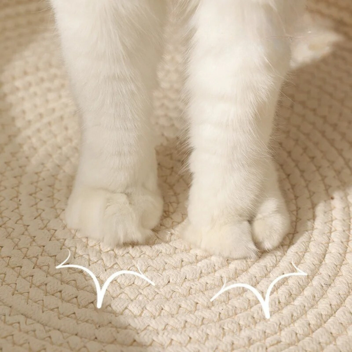 Katzenbett Komfortabel & Stilvoll – Gemütlicher Rückzugsort Für Katzen, Weich Und Langlebig, Ideal Für Entspannung 5