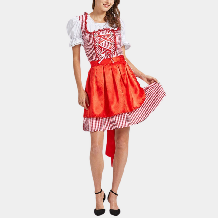 Traditionelles Dirndlkleid mit Karomuster und Satinbandschürze für Damen 1