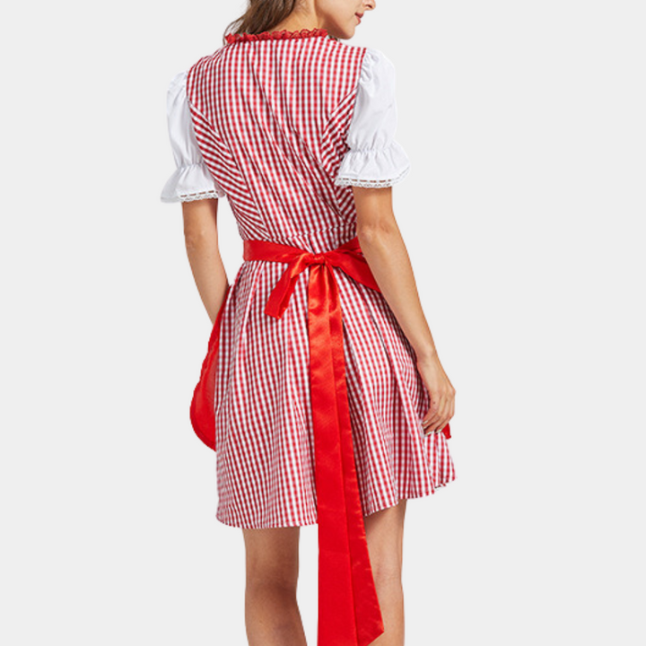 Traditionelles Dirndlkleid mit Karomuster und Satinbandschürze für Damen 3